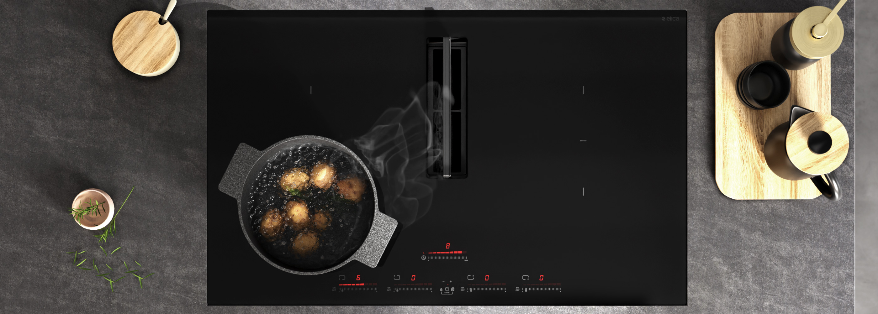 COOKING WILL NEVER BE THE SAME ONCE YOU TRY THE NIKOLATESLA FLUX COOKTOP
